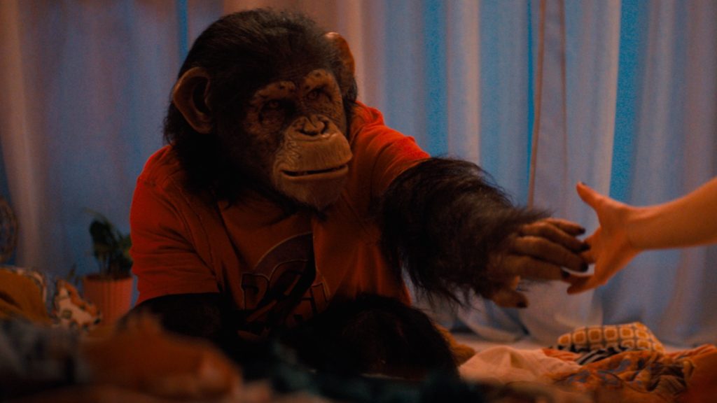 Шимпанзе Бен у фільмі «Примат» — ключовий образ survival-horror