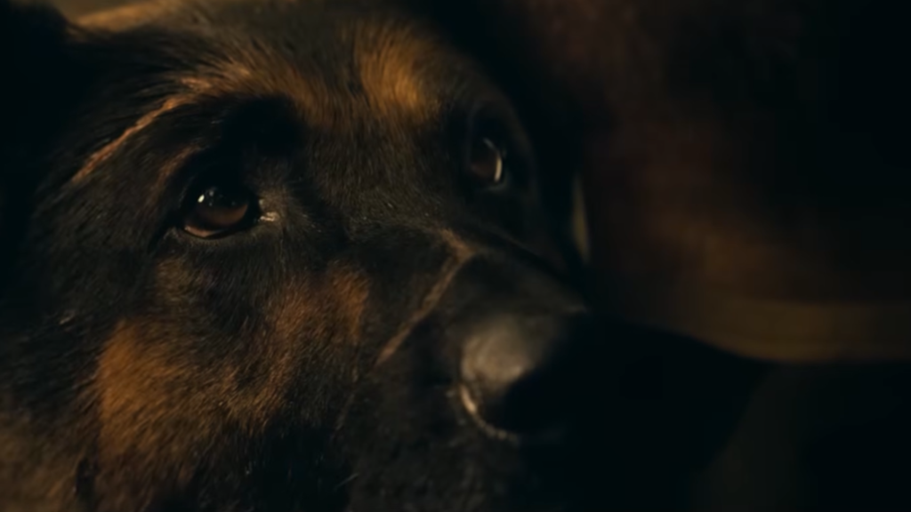 Кадр із трейлера фільму «Серце звіра» / Heart of the Beast
